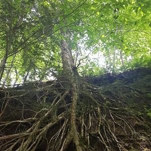 Meet your Posher, Laurie